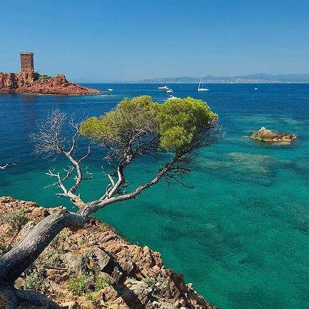 Appartement Frejus Avec Jardin, Piscine, Plage, Tennis Exteriér fotografie