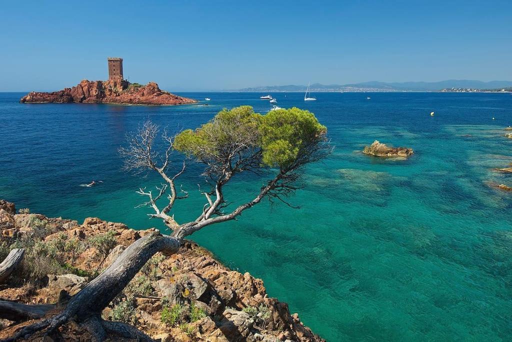 Appartement Frejus Avec Jardin, Piscine, Plage, Tennis Exteriér fotografie